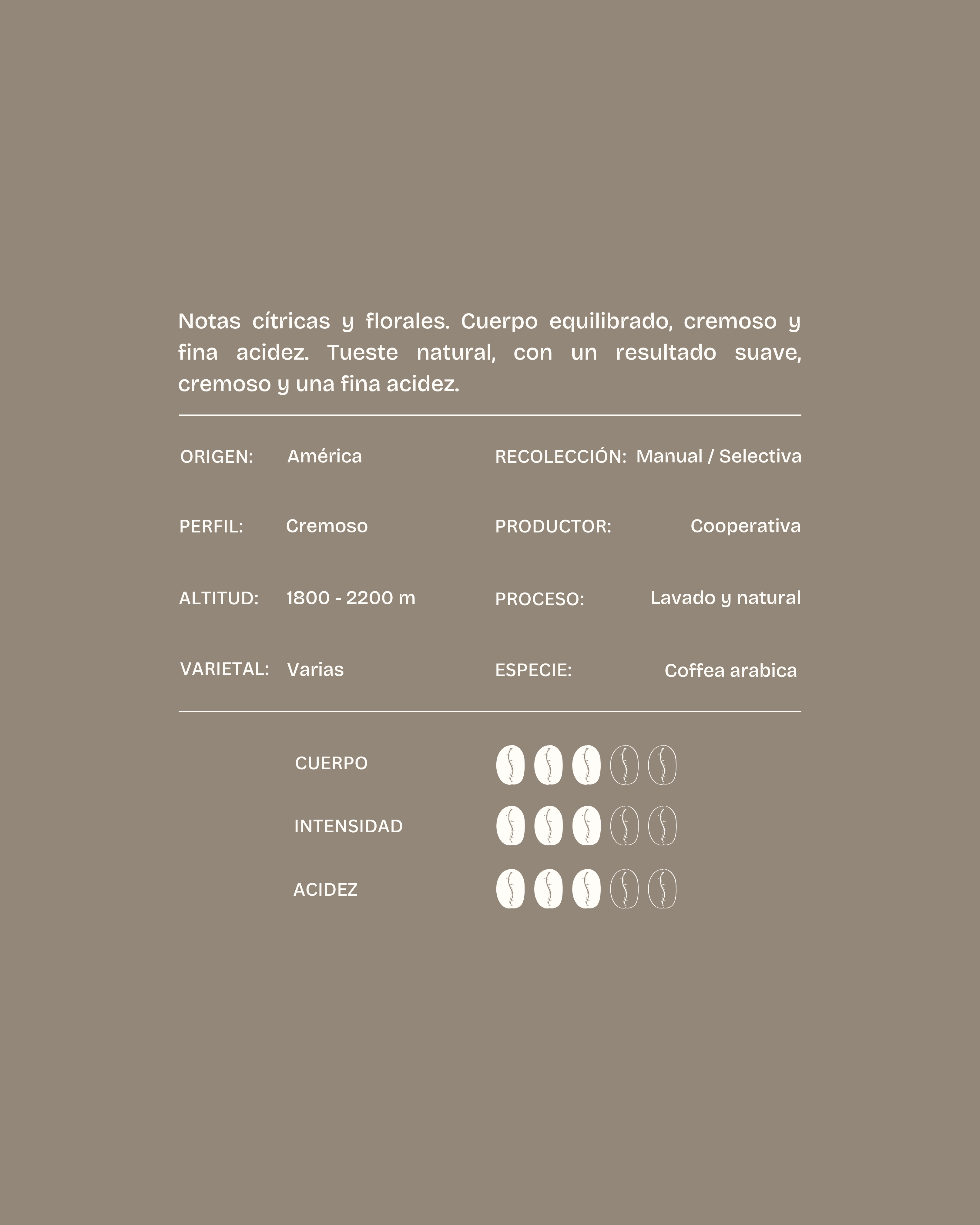 Arabiga Blend