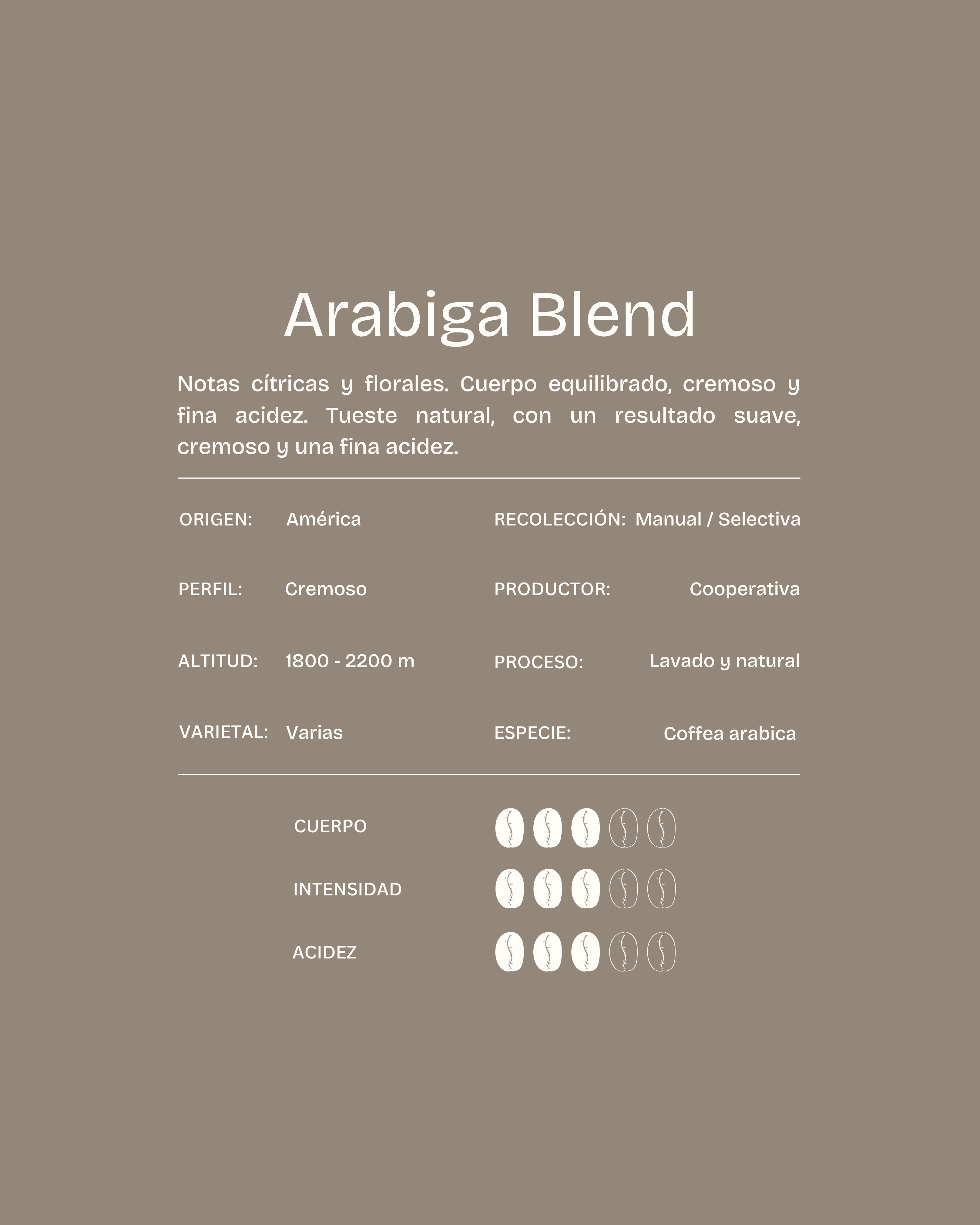 Pack degustación Blend