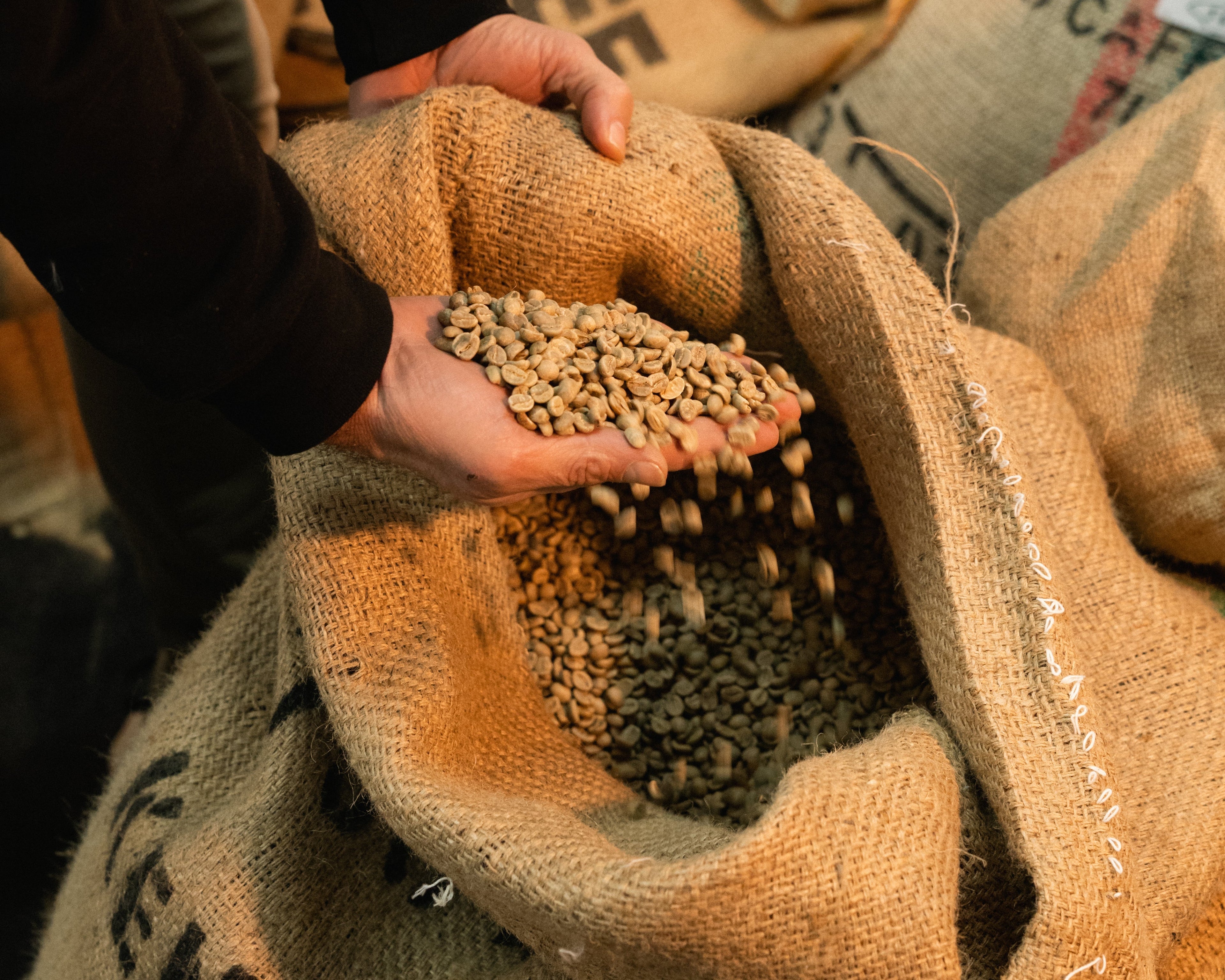 Kenya AA +