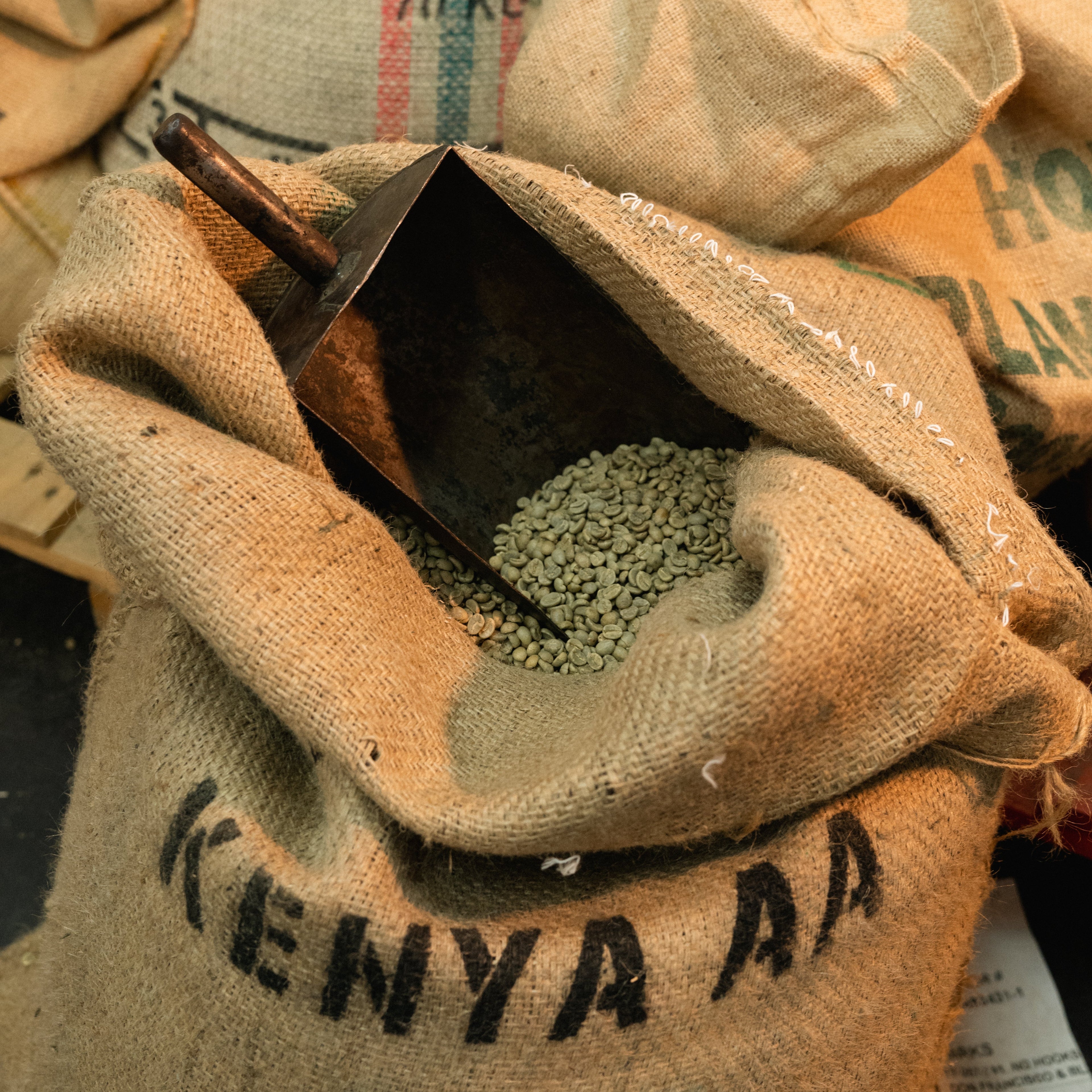 Kenya AA +